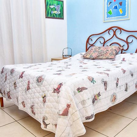 Charmoso Apto A Beira-Mar Com Wi-Fi Em Santos Sp Lejlighed Eksteriør billede